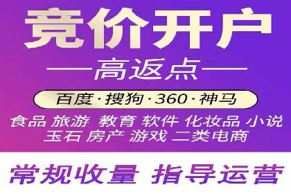 高效百度推广案例解析及优化策略