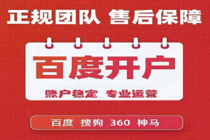 竞价广告的创意与执行：某快消品的营销突破
